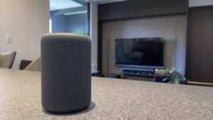 ボイスコマースとは？ 声紋認証技術を活用した口頭で完結するECのカタチ