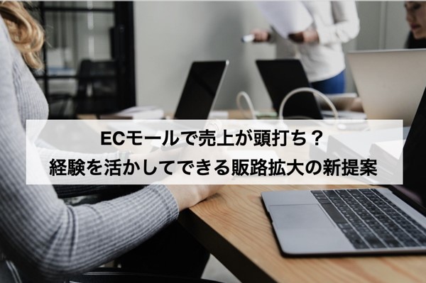 ECモールで売上が頭打ち？経験を活かしてできる販路拡大の新提案