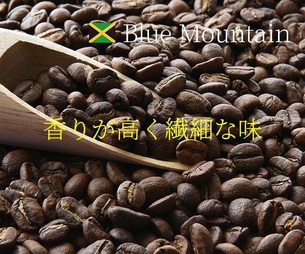  文字が細く見にくいバナーイメージ