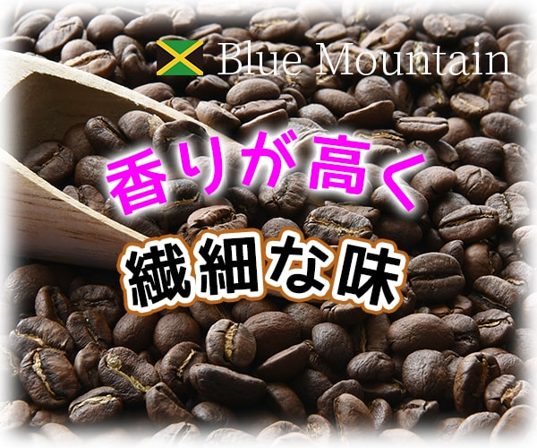 装飾が過度なバナーイメージ