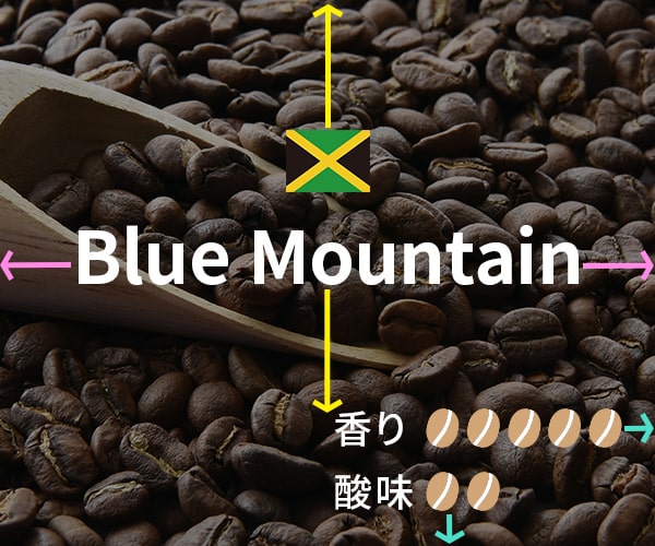 バナー制作のデザインの配置ルール