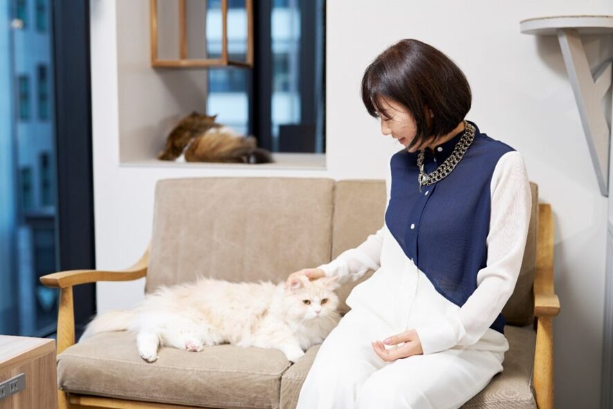 ９位　課題解決型の商品開発で猫用品を販売する「nekozuki」 の集客術とは