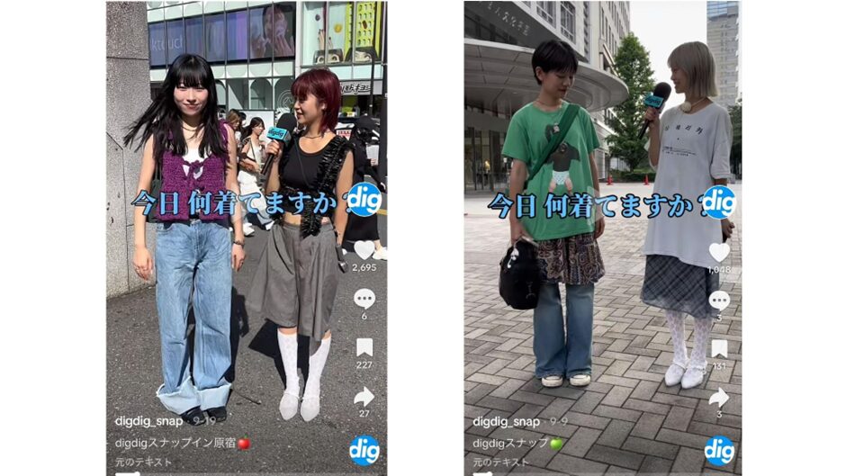 TikTok(@digdig_snap)