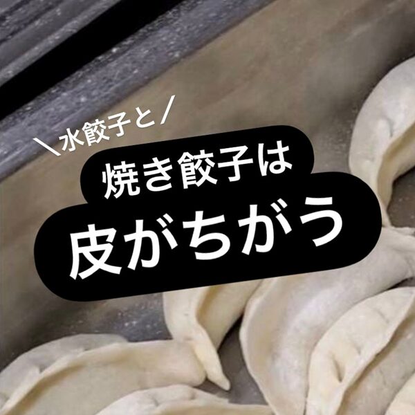 「水餃子と」という情報はタイトルのあしらい
