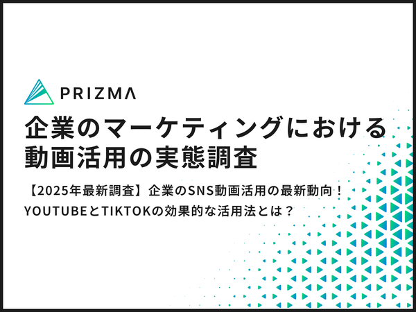 企業のマーケティング動画活用実態調査　YouTubeとTikTokの効果的利用法