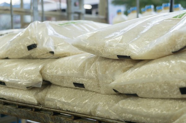 【統計データ分析】True Data発表、2025年3月売上データ：「米」の売上金額が前年比1.7倍に、暖かい気候で夏物商材も好調