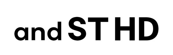 アンドエスティHDグループのロゴ画像