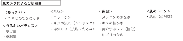 肌カメラによる分析イメージ