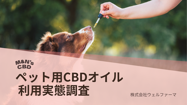 【実態調査】ペット用CBDオイル、86%の飼い主が効果実感 てんかん・シニアケアで顕著な効果 - M&N's CBD調査