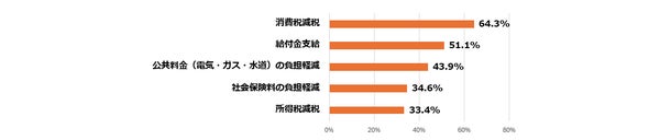 物価高対策グラフ