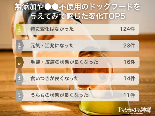 無添加フード変化調査