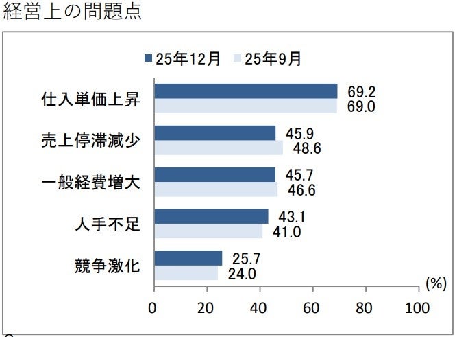 経営上の問題点グラフ