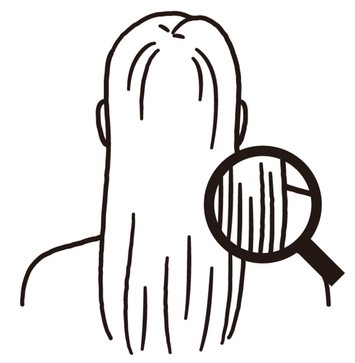 プログラムの流れ